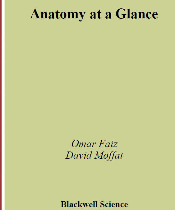 Anatomy at a Glance  Public Domain