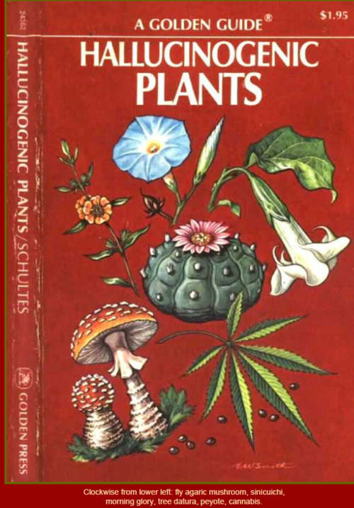 Hallucinogenic Plants A Golden Guide EBOOK
