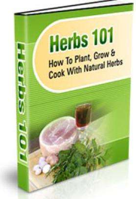 Herbs 101 Ebook