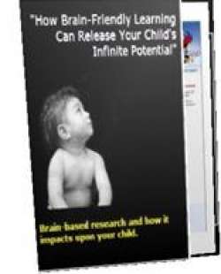 Unleash The Genius In Your Child Ebook