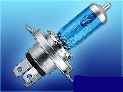 H1, H3, H4 and H7 Globes