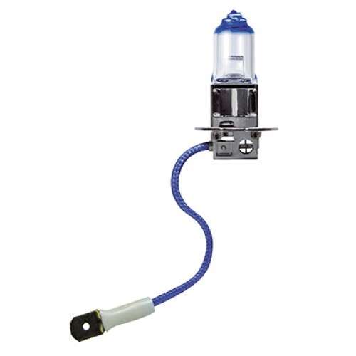 H1, H3, H4 and H7 Globes