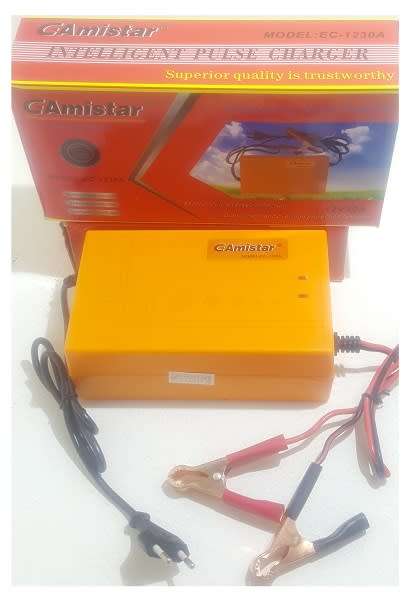 Battery Charger - 12V 30A Pulse Battery Charger - G-Amistar 12V 30A Pulse Battery Charger