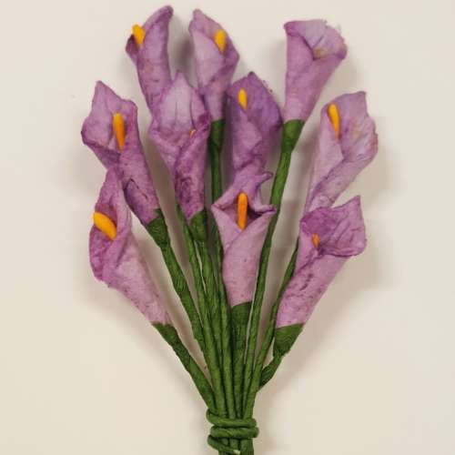 Arum Lilies 5 - Purple1