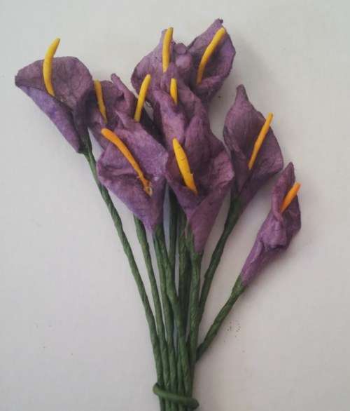 Arum Lilies 5 - Purple2