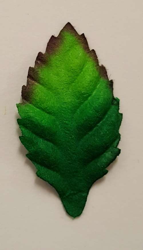 Green Leaf no stem 100p - 25x15mm