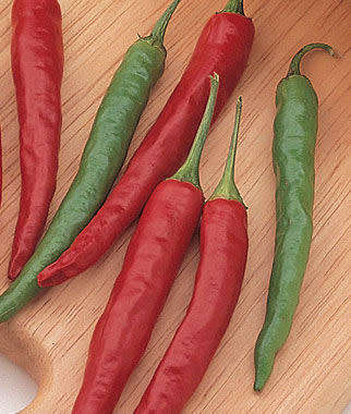 Big Thai Hybrid Chilli Pepper Seeds x5