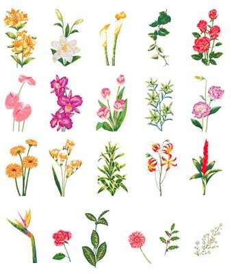 Brother embroidery card no. 31