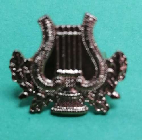 SAP badge (Musician) Starting at R1