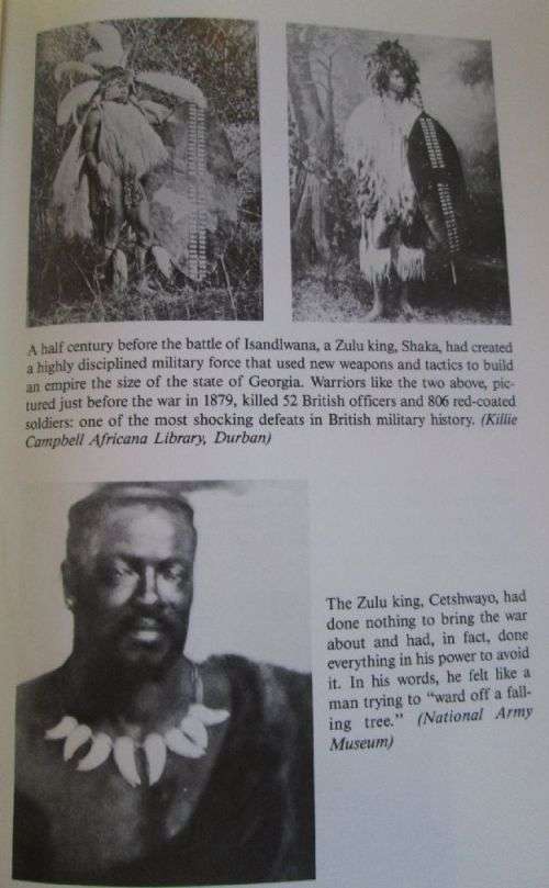 Like Lions They Fought - The Last Zulu War Robert B. Edgerton