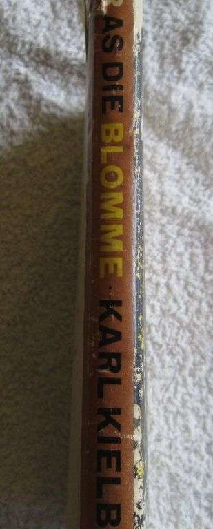 Mooier as die Blomme - Karel Kielblock