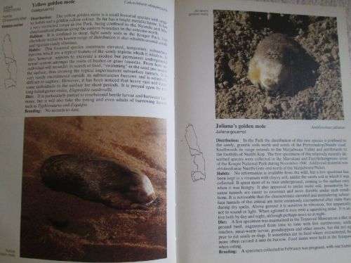 Field Guide to the Mammals of the Kruger National Park