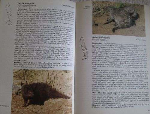 Field Guide to the Mammals of the Kruger National Park