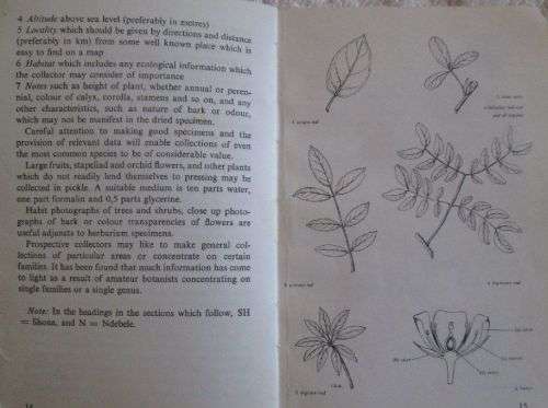 The Bundu Book of Trees, Flowers and Grasses