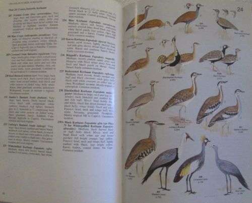 Field Companion to Roberts' Birds of Southern Africa - Gordon Lindsay MacLean