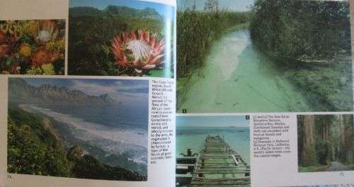 Wonders of the World [1001 Photos]