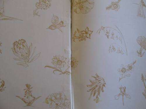 South Africa Wild Flowers for the Garden - Sima Eliovson