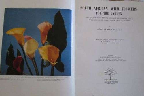 South Africa Wild Flowers for the Garden - Sima Eliovson