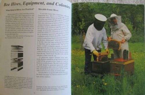 Beekeeping - A Complete Owner's Manual