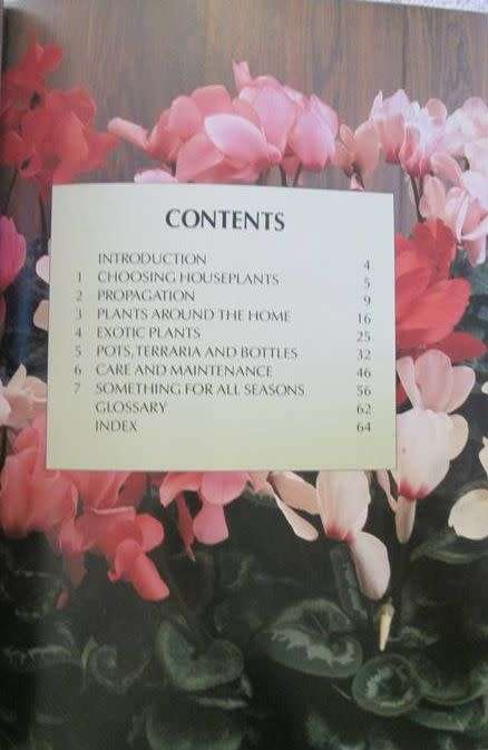 Practical Indoor Gardening - Yvonne Rees