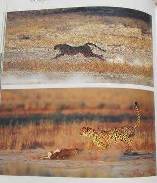 Creatures of Habit - Peter Apps and Richard du Toit - Hardcover