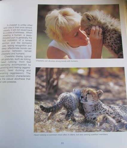 Spots Before Your Eyes - Cheetahs of Africa - Dr Jane Goodall, Howard G Buffett and Ann van Dyk