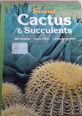 Sunset Cactus and Succulents