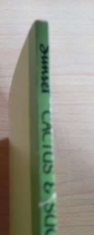 Sunset Cactus and Succulents