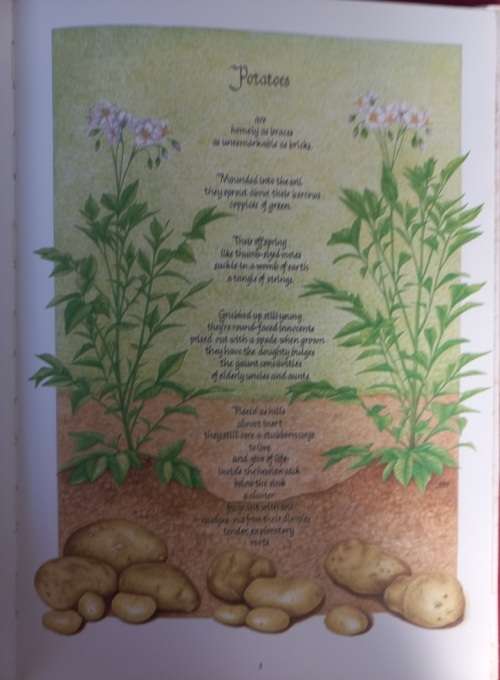 The Horn of Plenty - Chris Mann, Julia Skeen - Hardcover - 77 pages