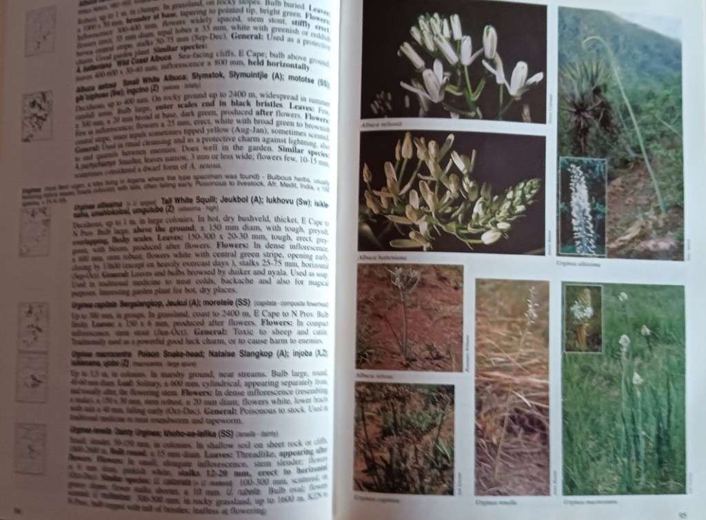 A Field Guide to Wild Flowers (1st Edition) - Kwa-Zulu Natal - Elsa Pooley - Hardcover - 376 pages