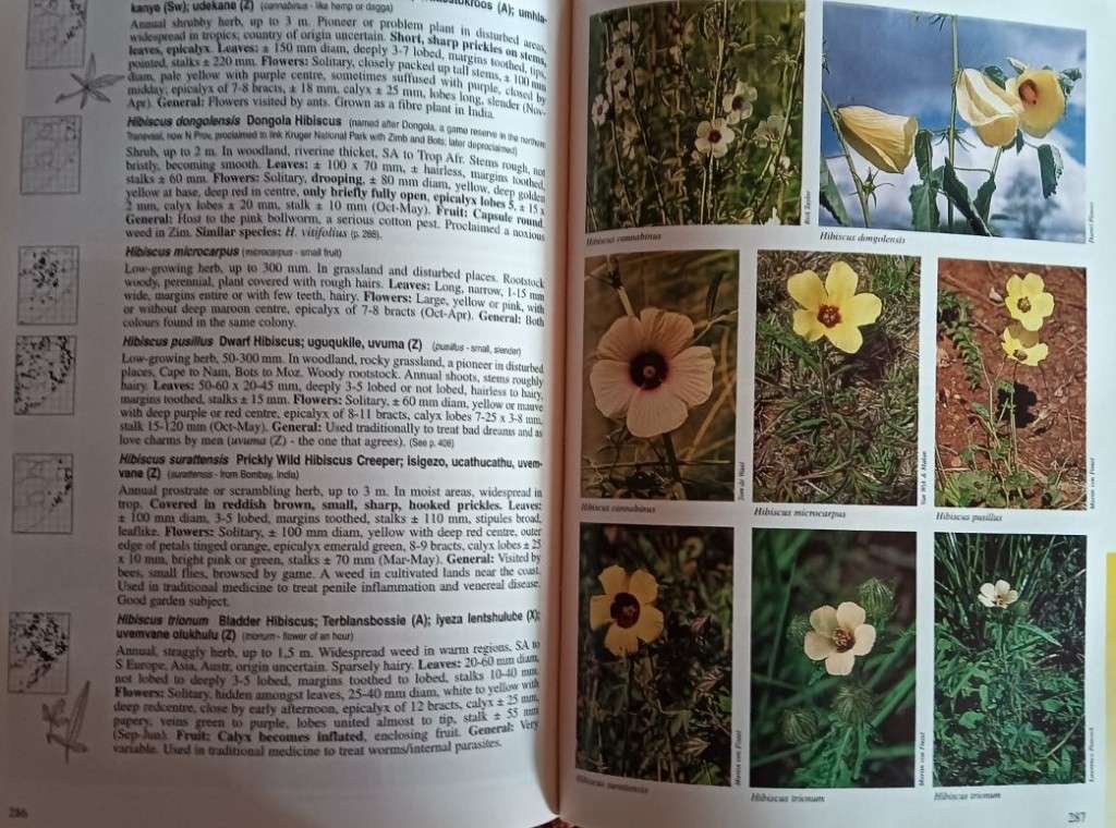 A Field Guide to Wild Flowers (1st Edition) - Kwa-Zulu Natal - Elsa Pooley - Hardcover - 376 pages