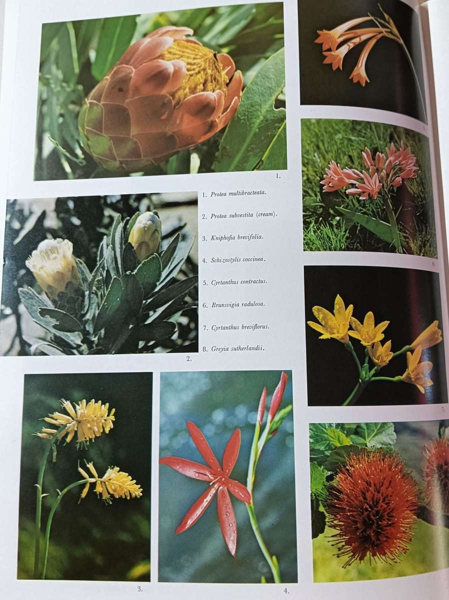 Barrier of Spears - Drama of the Drakensberg - R.O. Pearse - Hardcover - 304 Pages