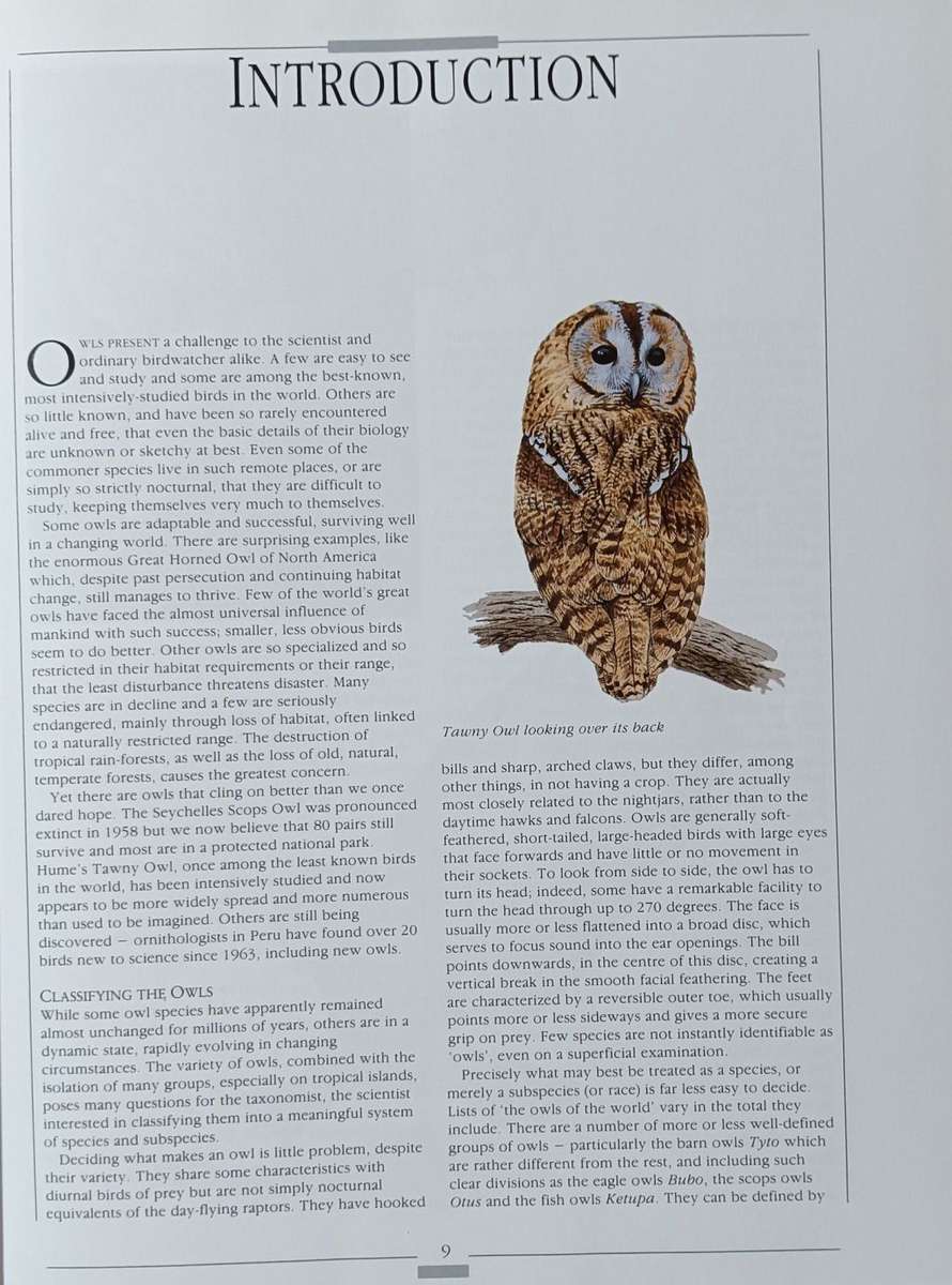 Owls of the World - Rob Hume - Illustrated by Trevor Boyer - Large Hardcover - 192 pages