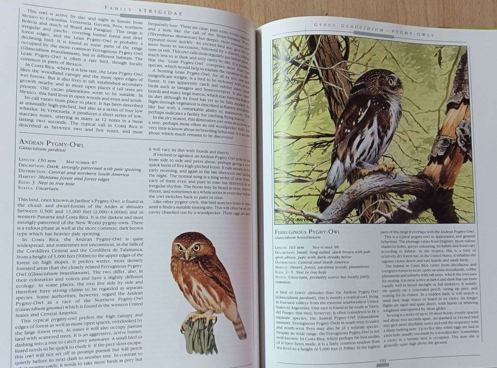 Owls of the World - Rob Hume - Illustrated by Trevor Boyer - Large Hardcover - 192 pages