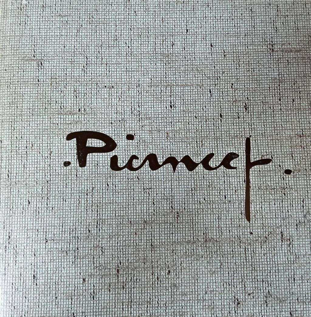 PIERNEEF: Die Stasiepanele/ The Station Panels - Softcover