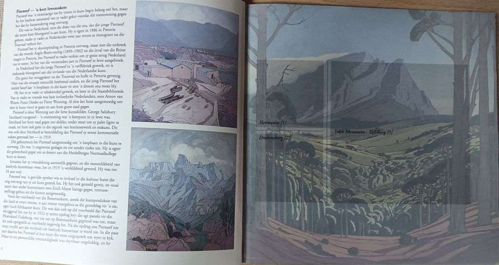 PIERNEEF: Die Stasiepanele/ The Station Panels - Softcover