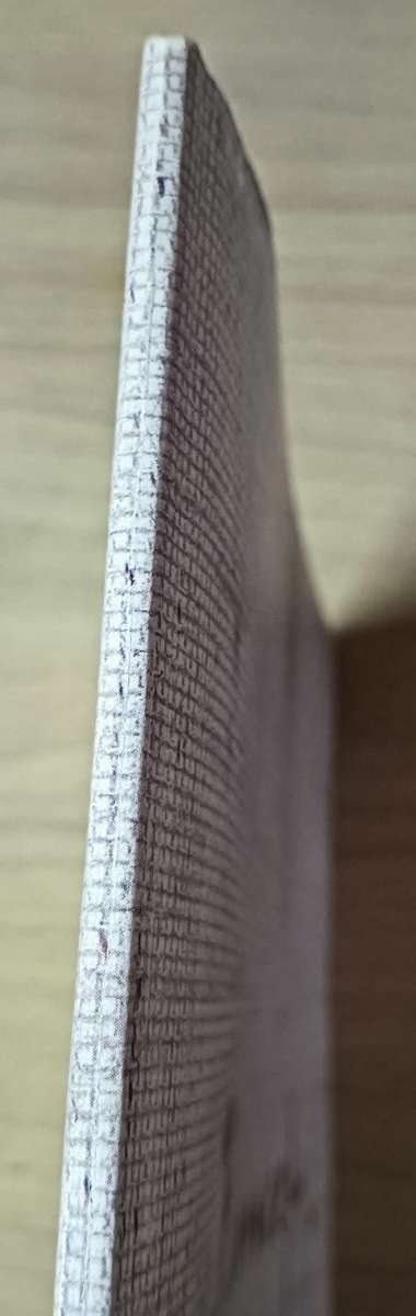 PIERNEEF: Die Stasiepanele/ The Station Panels - Softcover