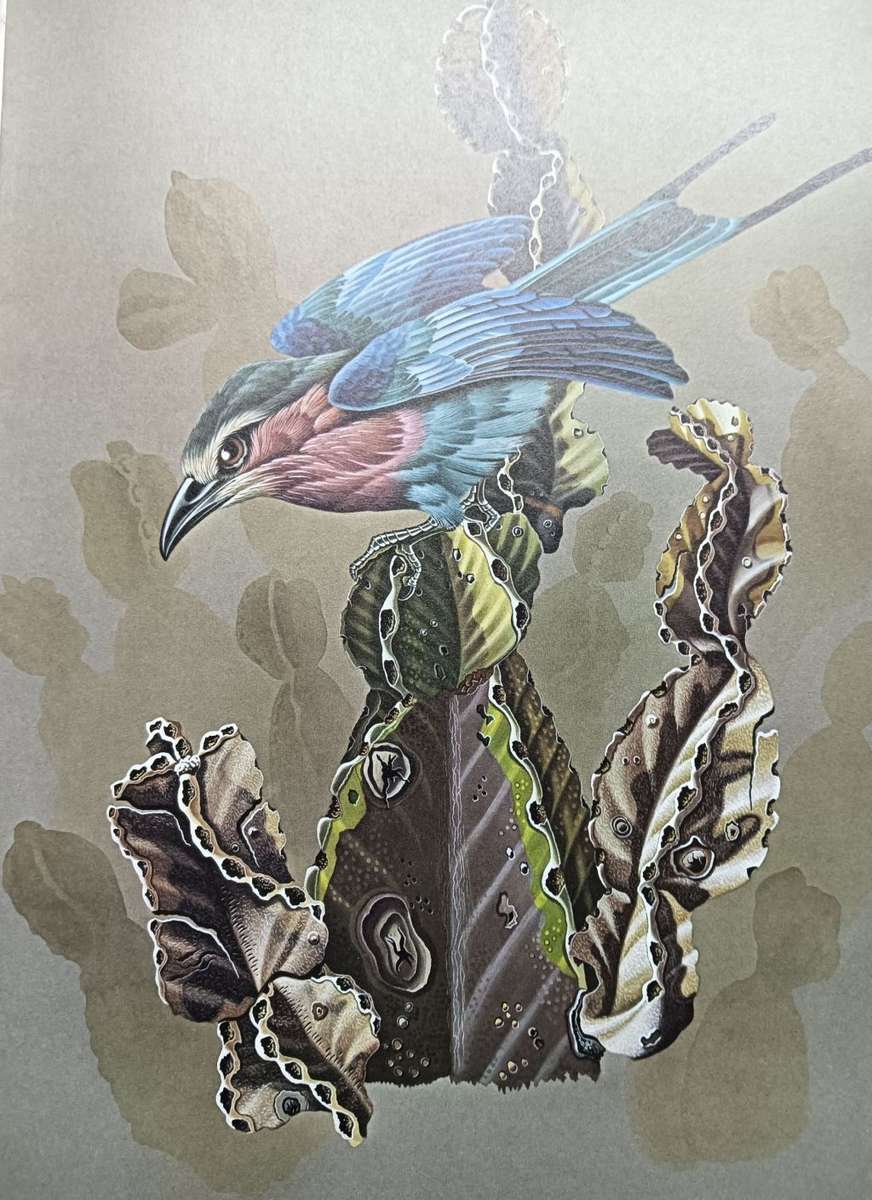 Calburn`s Birds of Southern Africa - Simon Calburn - Hardcover - 145 Pages