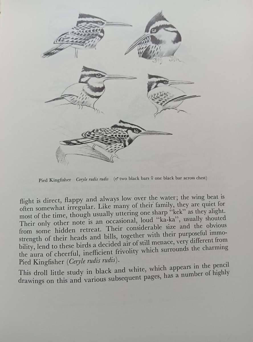 Calburn`s Birds of Southern Africa - Simon Calburn - Hardcover - 145 Pages