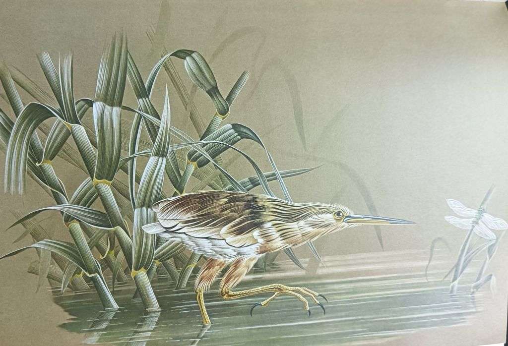 Calburn`s Birds of Southern Africa - Simon Calburn - Hardcover - 145 Pages