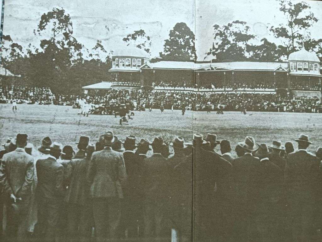 The Natal Rugby Story - Alfred Herbert - Hardcover - 444 pages