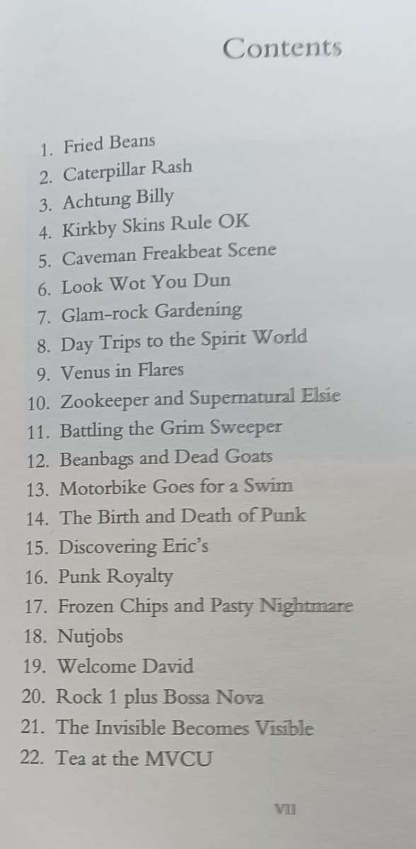 Bunnymen A Memoir - Will Sergeant - Hardcover - 319 pages