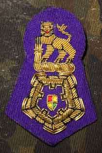 Cap Badge Chaplains, Brigadiers and Colonels GWE