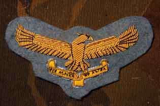 Cap Badge SAAF Brigadiers and Colonels Flight Blue GWE