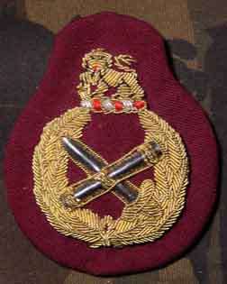 Cap Badge SAMS General Officers