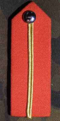 &#65279;Gorget Collar Patch Brigadiers and Colonels Staff Qualified SA Army