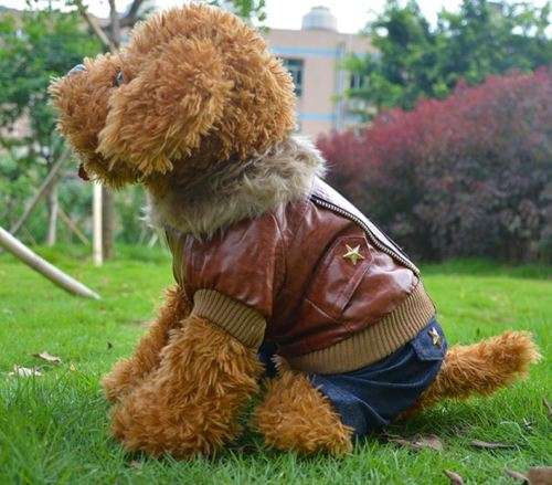 Imported Quality Dog Jersey's - Winter Outfit