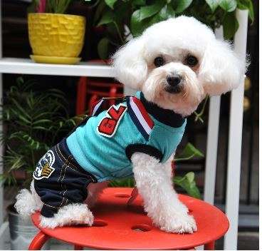 Imported Quality Dog Jersey's - Summer Outfit