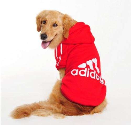 Imported Quality Dog Jersey's - Large dogs