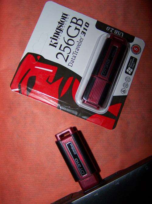 *************Kingston**** DT310 256GB USB 2.0 Flash Memory Stick Drive***********